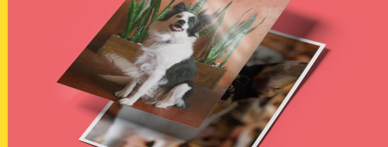 Klasični foto otisci  